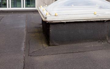 disadvantages of Strines flat roofs
