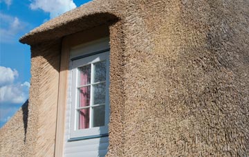 Strines thatch roof disadvantages